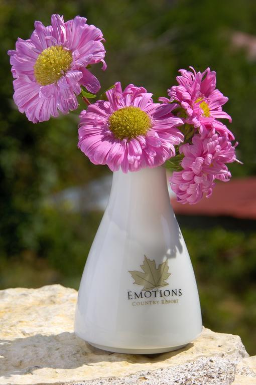 Voutiron Emotions Country Resort מראה חיצוני תמונה